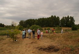  (photo)