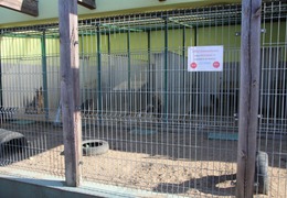  (photo)