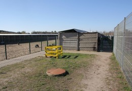  (photo)