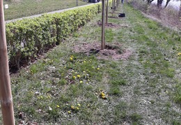  (photo)