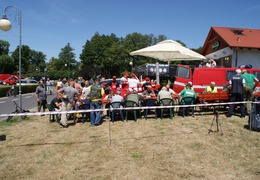  (photo)