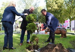  (photo)