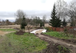  (photo)