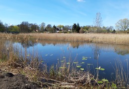 Park przy ul. Mokrej (photo)