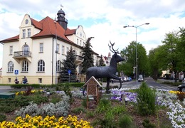  (photo)