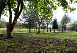 Park przy ul. Mokrej nad rzeką Głomią (photo)