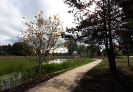 Park przy ul. Mokrej nad rzeką Głomią (photo)