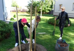  (photo)