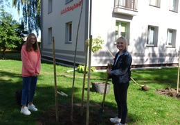  (photo)