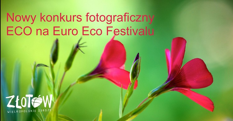 Konkurs fotograficzny - zdjęcie