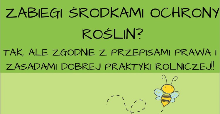 Bezpieczeństwo pszczół  - zdjęcie