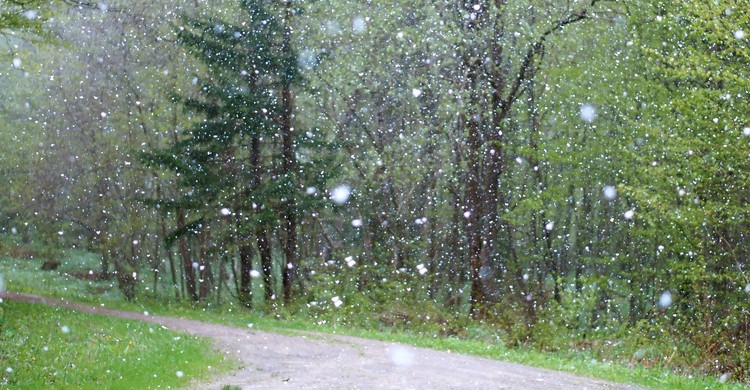 Ostrzeżenie meteorologiczne Nr 30 - zdjęcie