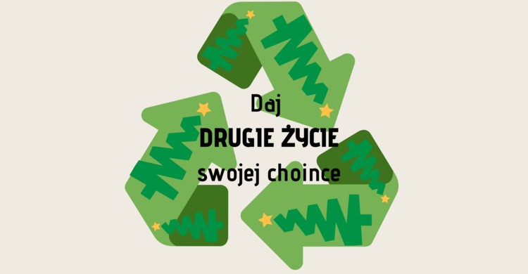 Daj DRUGIE ŻYCIE swojej choince! - zdjęcie