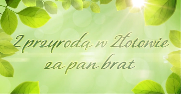 Z przyrodą w Złotowie za pan brat! - zdjęcie
