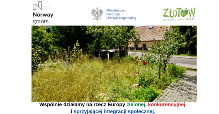 Utworzenie wspólnie z mieszkańcami 3 społecznych stref zieleni miejskiej - zdjęcie
