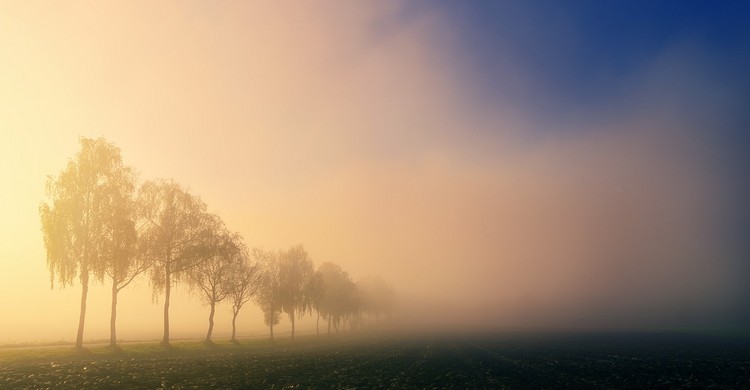 Ostrzeżenie meteo nr 93 - mgła - zdjęcie