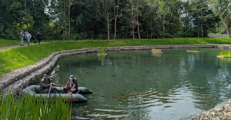 Złotów wśród błękitno-zielonych inicjatyw - zdjęcie