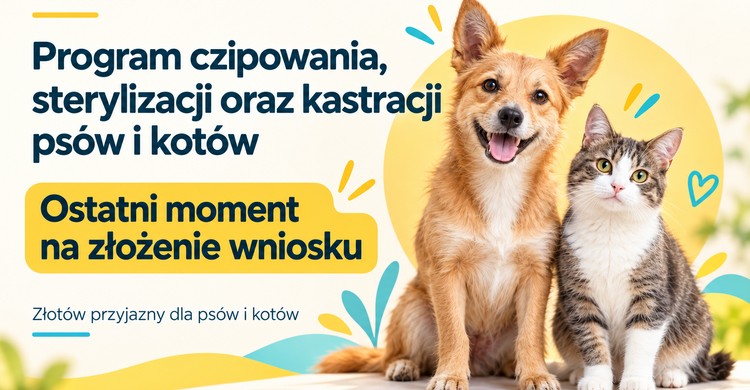 Złotów przyjazny dla psów i kotów! - zdjęcie