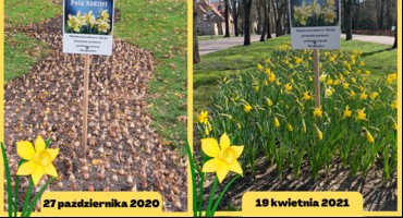 19 kwietnia 2021